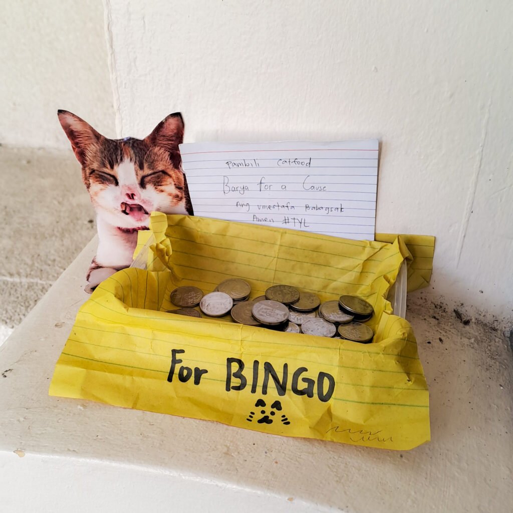 Makeshift donation box with a note and a picture of a calico cat with cleft-palate